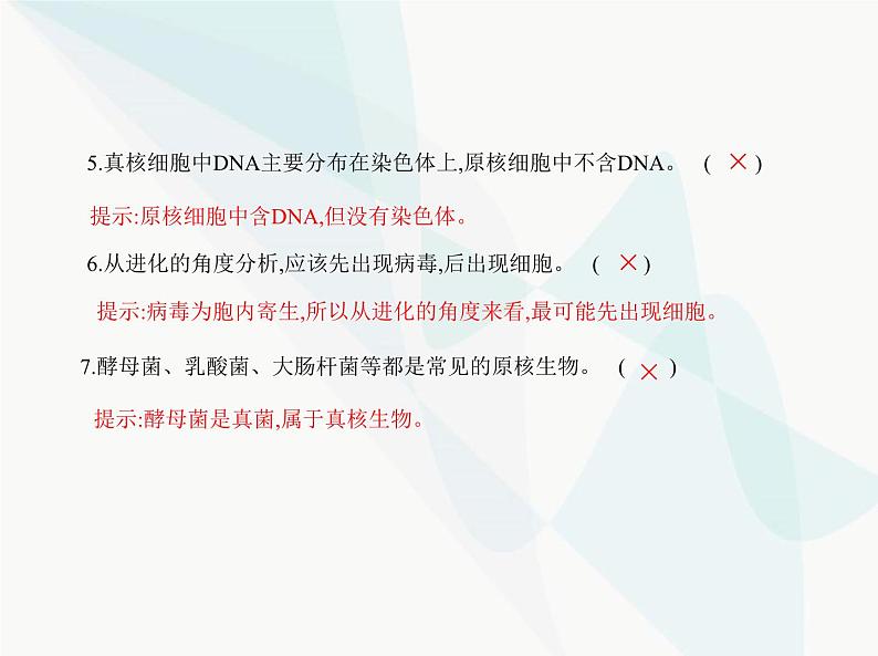 浙科版高中生物必修1第二章细胞的结构第六节原核细胞内无成形的细胞核课件07