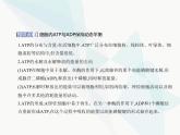 浙科版高中生物必修1第三章細(xì)胞的代謝第一節(jié)ATP是細(xì)胞內(nèi)的“能量通貨”課件