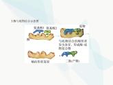 浙科版高中生物必修1第三章细胞的代谢第二节酶是生物催化剂课件