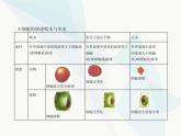 浙科版高中生物必修1第三章细胞的代谢第三节物质通过多种方式出入细胞课件