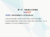 浙科版高中生物必修1第四章细胞的生命历程第一节细胞通过分裂增殖课件