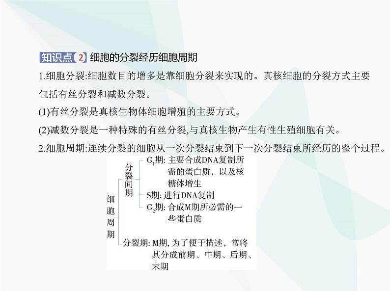 浙科版高中生物必修1第四章细胞的生命历程第一节细胞通过分裂增殖课件04