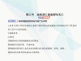 浙科版高中生物必修1第四章细胞的生命历程第三节细胞凋亡是编程性死亡课件
