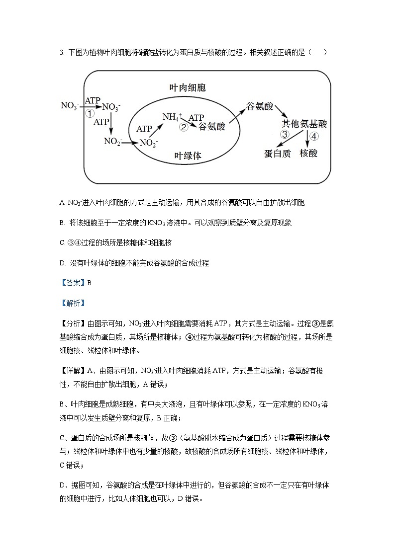 山东省青岛市二中2022-2023学年高二下学期期中生物试题含答案03