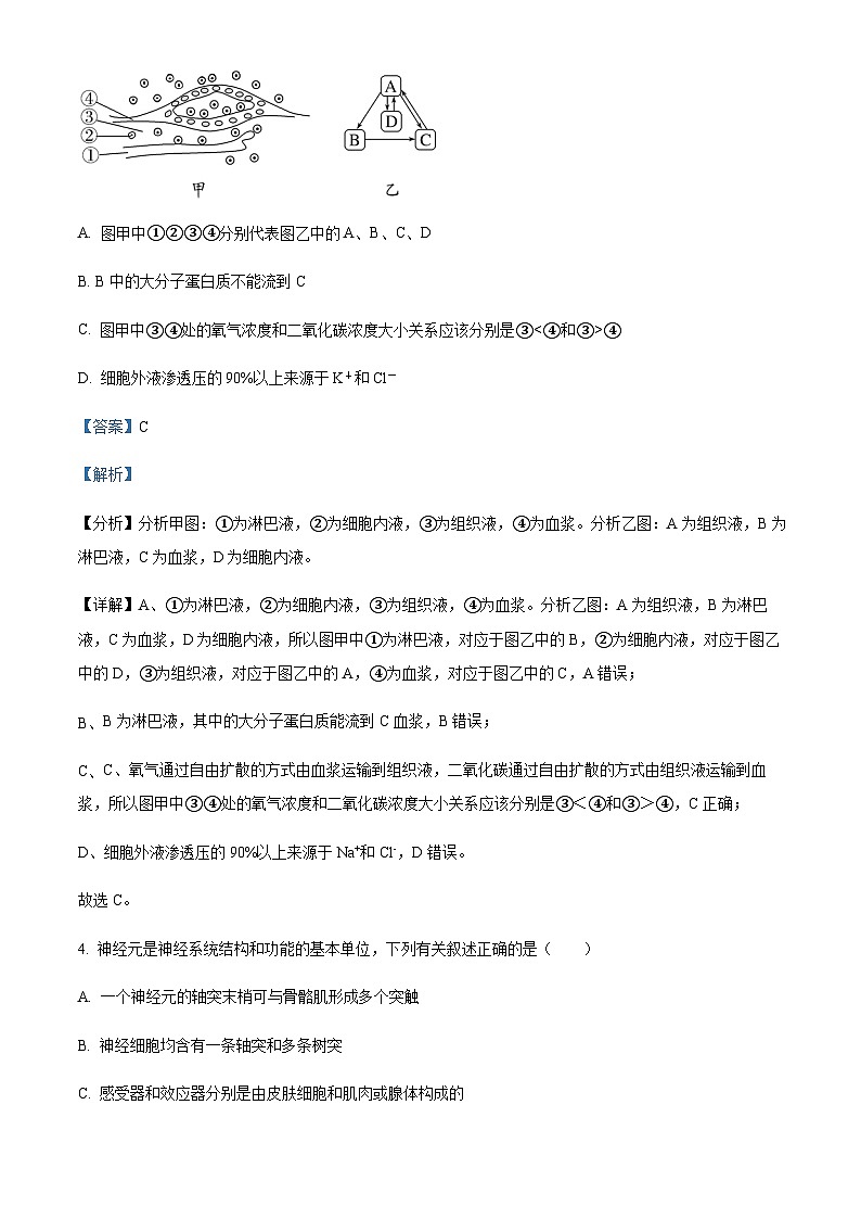 山东省青岛二中2022-2023学年高二上学期期末考试生物试题含答案03