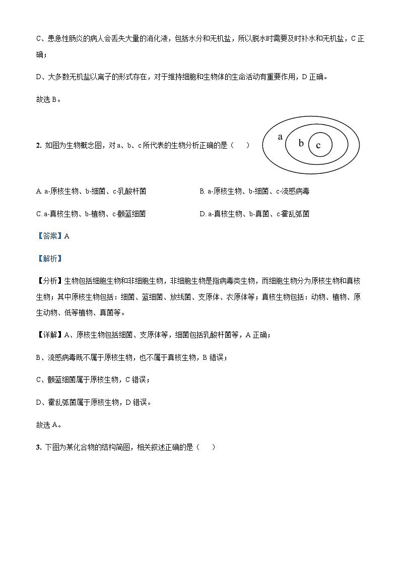 山西省康杰中学2022-2023学年高一上学期期末考试生物试题含答案02