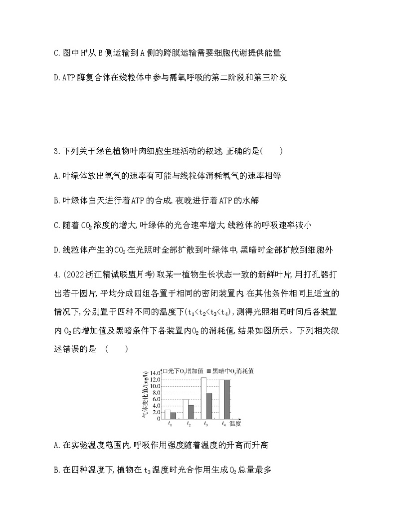 浙科版高中生物必修1专题强化练3综合分析光合作用与细胞呼吸含答案02