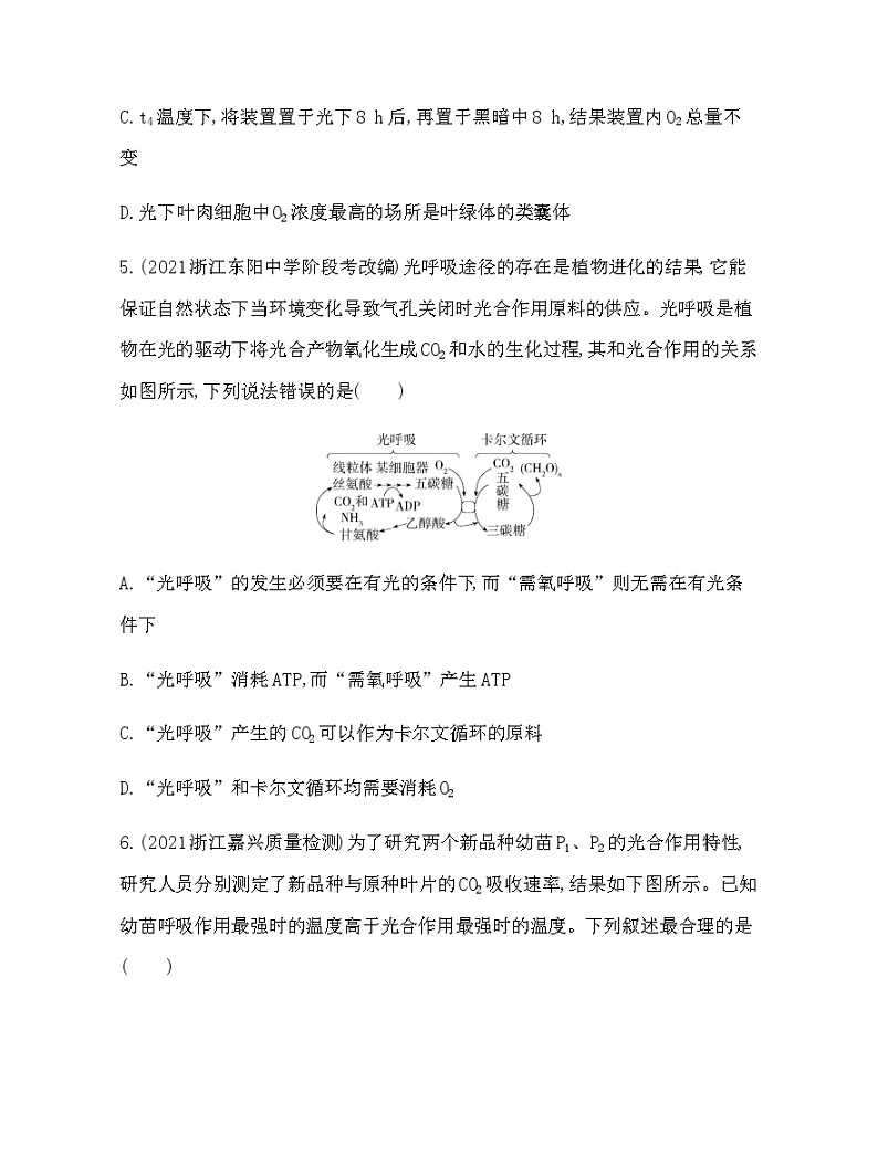 浙科版高中生物必修1专题强化练3综合分析光合作用与细胞呼吸含答案03
