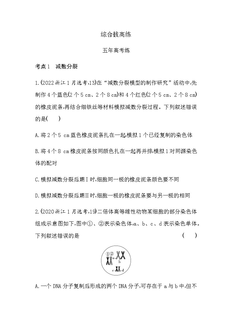 浙科版高中生物必修2第二章染色体与遗传综合拔高练含答案第1页