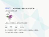 浙科版高中生物必修2第一章遗传的基本规律第一节孟德尔从一对相对性状的杂交实验中总结出分离定律课件