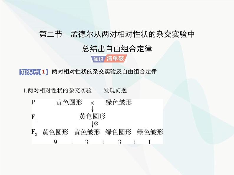 浙科版高中生物必修2第一章遗传的基本规律第二节孟德尔从两对相对性状的杂交实验中总结出自由组合定律课件01