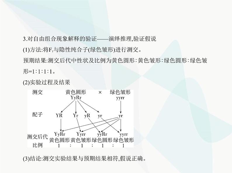 浙科版高中生物必修2第一章遗传的基本规律第二节孟德尔从两对相对性状的杂交实验中总结出自由组合定律课件04