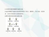 浙科版高中生物必修2第二章染色体与遗传第二节基因伴随染色体传递课件