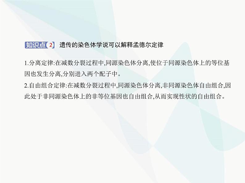 浙科版高中生物必修2第二章染色体与遗传第二节基因伴随染色体传递课件第7页