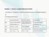 浙科版高中生物必修2第二章染色体与遗传第三节性染色体上基因的传递和性别相关联课件