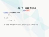 浙科版高中生物必修2第三章遗传的分子基础第一节核酸是遗传物质课件