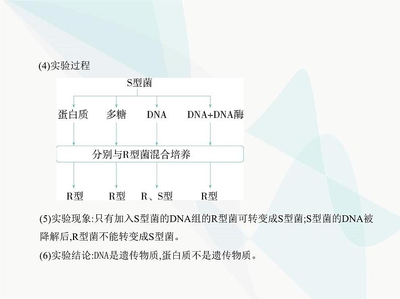 浙科版高中生物必修2第三章遗传的分子基础第一节核酸是遗传物质课件05