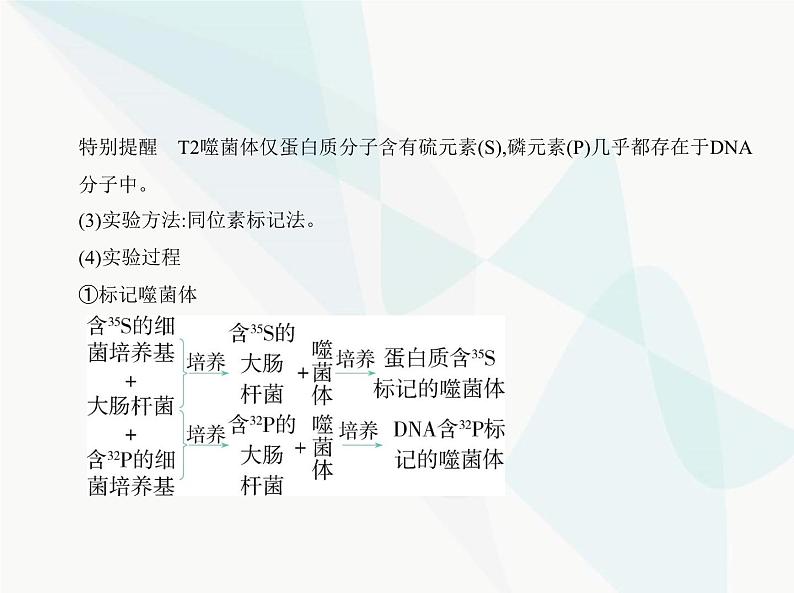 浙科版高中生物必修2第三章遗传的分子基础第一节核酸是遗传物质课件07