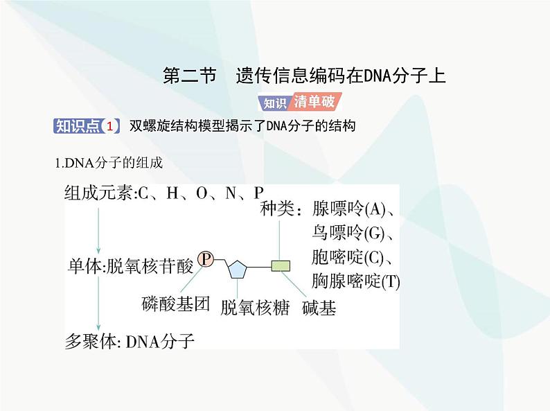 浙科版高中生物必修2第三章遗传的分子基础第二节遗传信息编码在DNA分子上课件第1页