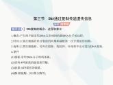 浙科版高中生物必修2第三章遗传的分子基础第三节DNA通过复制传递遗传信息课件