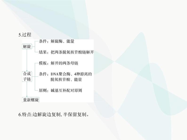 浙科版高中生物必修2第三章遗传的分子基础第三节DNA通过复制传递遗传信息课件02