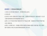 浙科版高中生物必修2第三章遗传的分子基础第三节DNA通过复制传递遗传信息课件