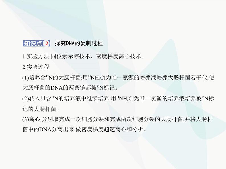 浙科版高中生物必修2第三章遗传的分子基础第三节DNA通过复制传递遗传信息课件04