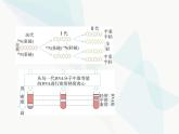 浙科版高中生物必修2第三章遗传的分子基础第三节DNA通过复制传递遗传信息课件