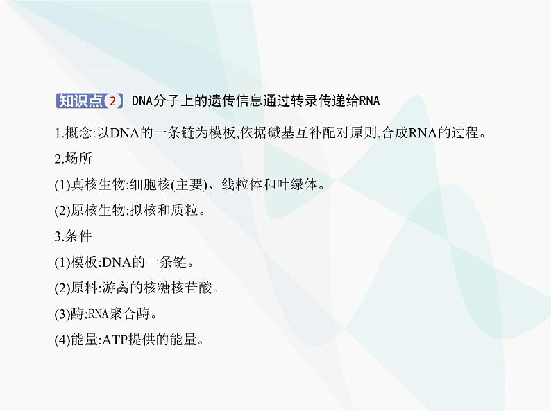 浙科版高中生物必修2第三章遗传的分子基础第四节基因控制蛋白质合成课件03