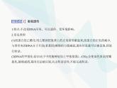浙科版高中生物必修2第三章遗传的分子基础第五节生物体存在表观遗传现象课件