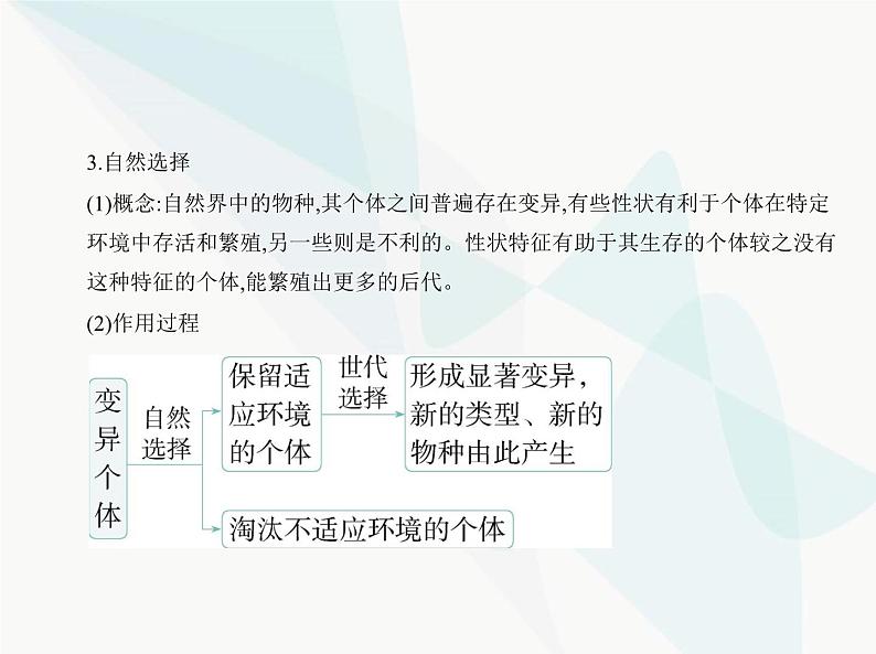 浙科版高中生物必修2第五章生物的进化第二节适应是自然选择的结果课件04