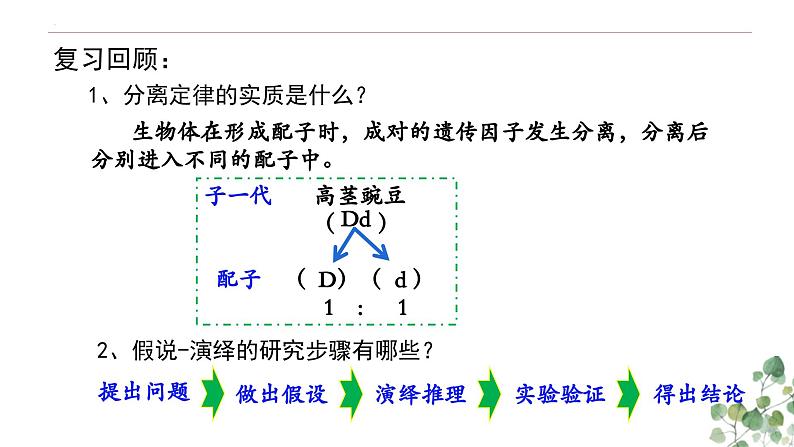 1.2 孟德尔的豌豆杂交实验（二）-高一生物下学期教学课件（人教版2019必修二）第1页