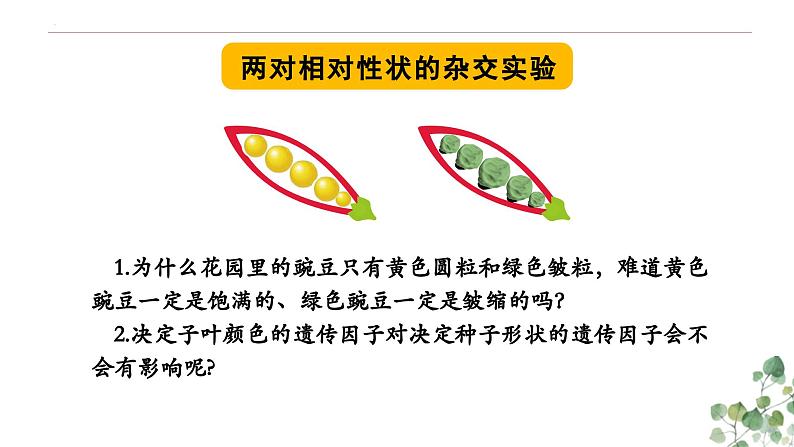 1.2 孟德尔的豌豆杂交实验（二）-高一生物下学期教学课件（人教版2019必修二）第3页