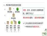 1.2 孟德尔的豌豆杂交实验（二）-高一生物下学期教学课件（人教版2019必修二）