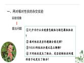 1.2 孟德尔的豌豆杂交实验（二）-高一生物下学期教学课件（人教版2019必修二）