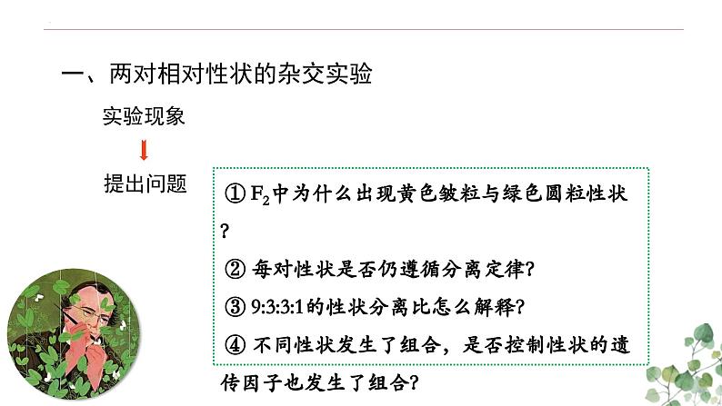 1.2 孟德尔的豌豆杂交实验（二）-高一生物下学期教学课件（人教版2019必修二）第5页