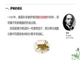 2.2 基因在染色体上-高一生物下学期教学课件（人教版2019必修二）