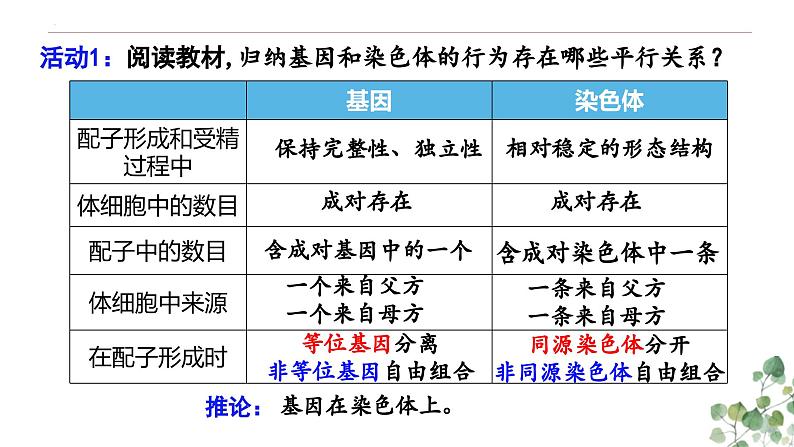 2.2 基因在染色体上-高一生物下学期教学课件（人教版2019必修二）第4页