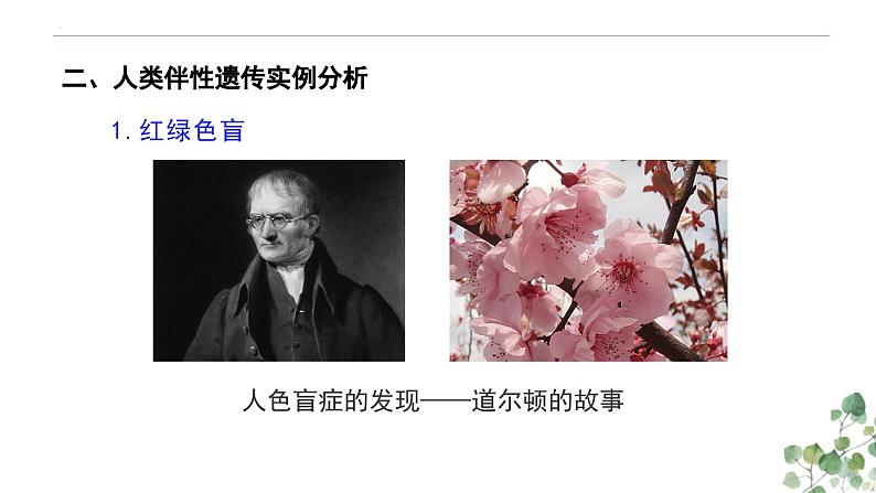 2.3 伴性遗传-高一生物下学期教学课件（人教版2019必修二）06