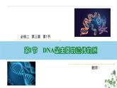 3.1 DNA是主要的遗传物质-高一生物下学期教学课件（人教版2019必修二）