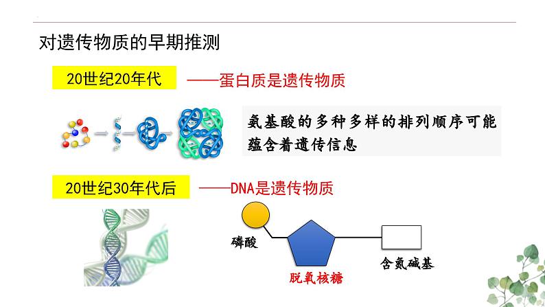 3.1 DNA是主要的遗传物质-高一生物下学期教学课件（人教版2019必修二）第3页