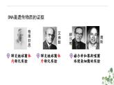 3.1 DNA是主要的遗传物质-高一生物下学期教学课件（人教版2019必修二）
