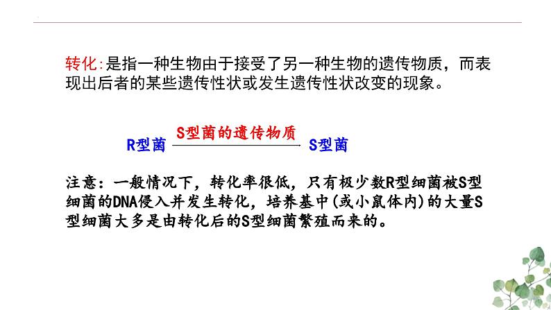 3.1 DNA是主要的遗传物质-高一生物下学期教学课件（人教版2019必修二）第8页