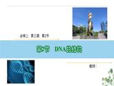 3.2 DNA的结构-高一生物下学期教学课件（人教版2019必修二）