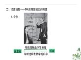 3.2 DNA的结构-高一生物下学期教学课件（人教版2019必修二）