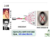 3.2 DNA的结构-高一生物下学期教学课件（人教版2019必修二）
