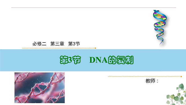 3.3 DNA的复制-高一生物下学期教学课件（人教版2019必修二）第1页