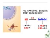 4.1 基因指导蛋白质的合成-高一生物下学期教学课件（人教版2019必修二）