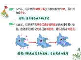 4.1 基因指导蛋白质的合成-高一生物下学期教学课件（人教版2019必修二）