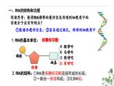 4.1 基因指导蛋白质的合成-高一生物下学期教学课件（人教版2019必修二）